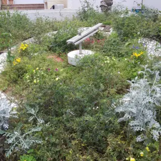 季節を彩るオリジナル花時計の製作・販売｜公共施設・学校・病院向け